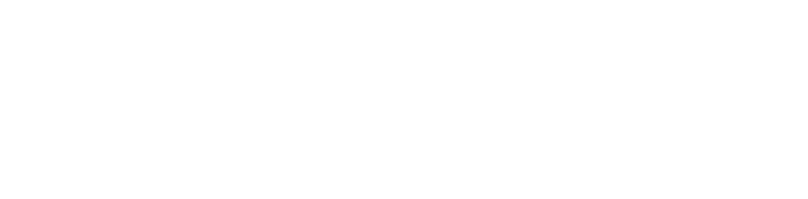 Clinical Services International